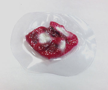 Shotgun Close Range, 800-721