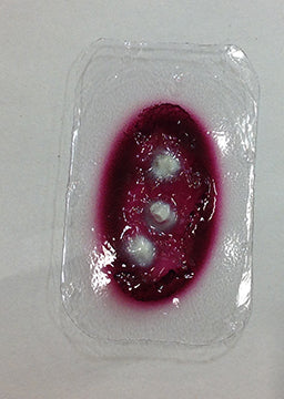 Small Sepsis Wound Stick-On, 800-909