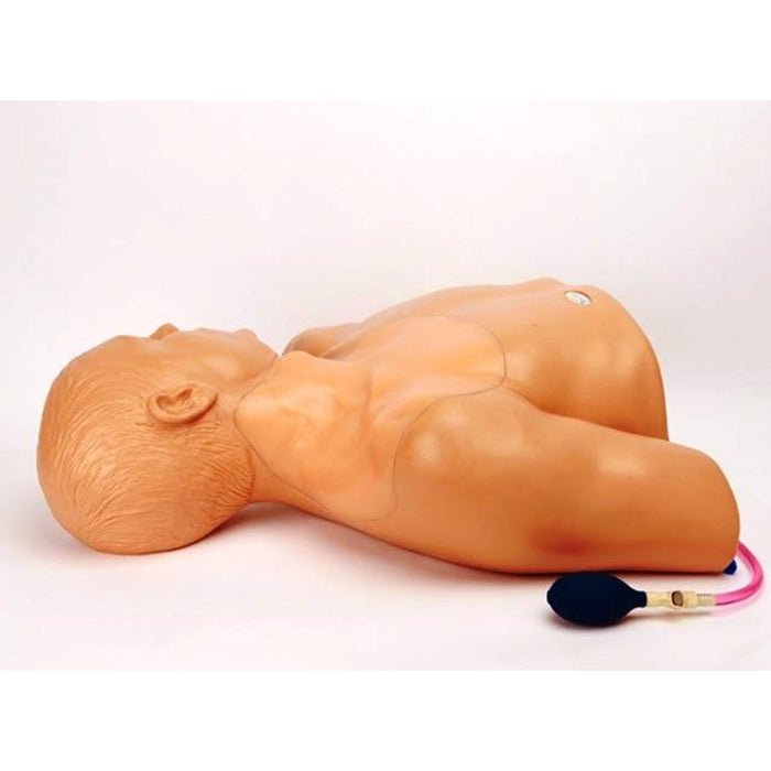 Gen Ii Ultrasound Central Line Training Model, BPH660-AP
