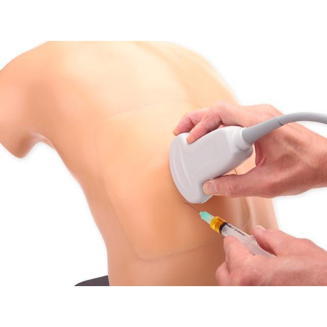 Midscapular Thoracentesis Ultrasound Training Model, BPTT2-1005