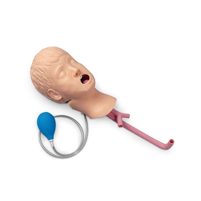 Child Airway Management, Head Only, LF03608