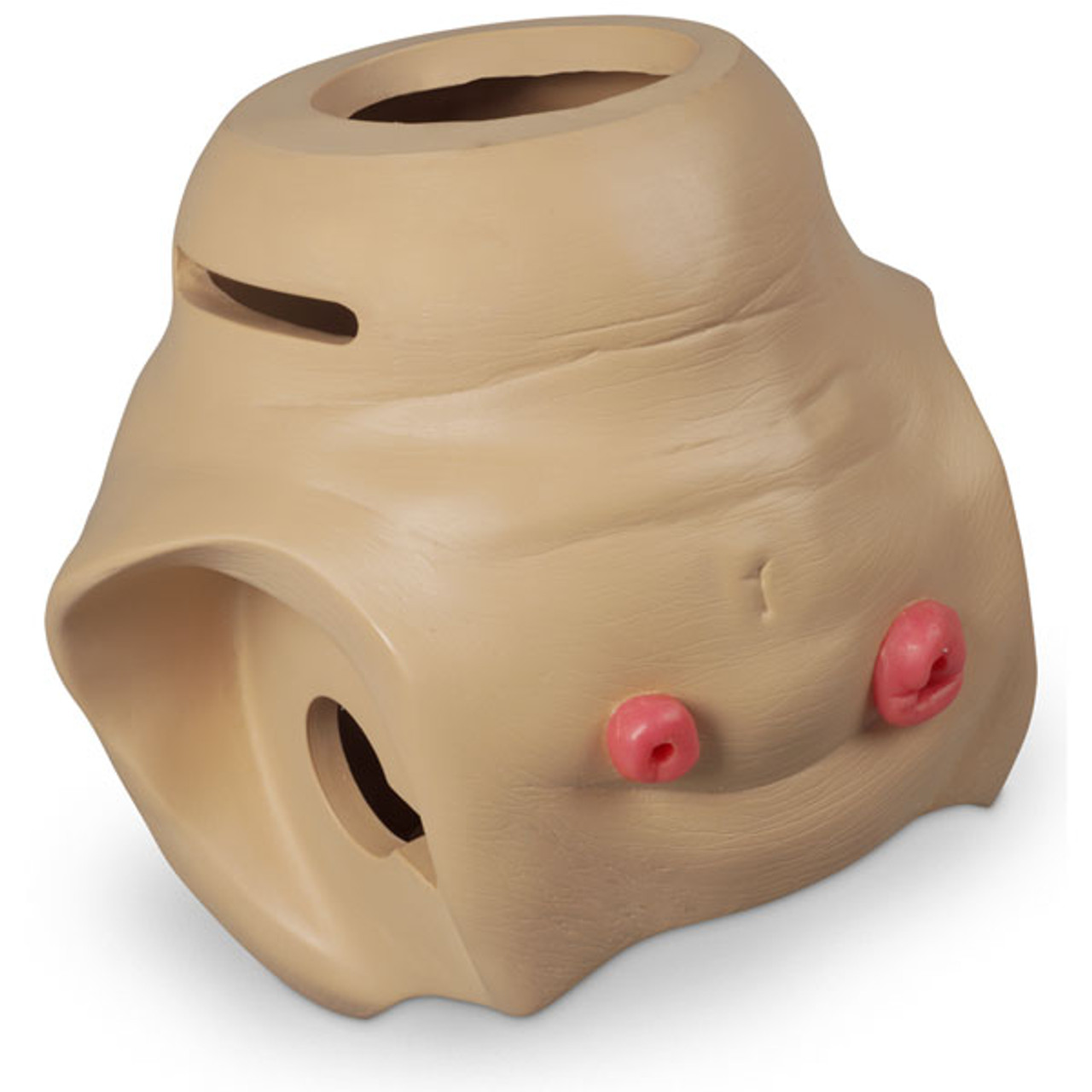 Life/Form Replacement Lower Geri Torso, LF04048 N