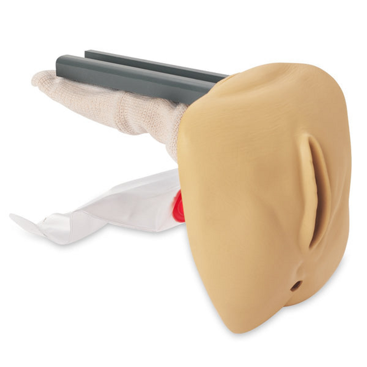 Nasco Healthcare Life/Form Geri / Keri Replacement Genitalia (Complete, Advanced, And Auscultation), Female, LF04076 M