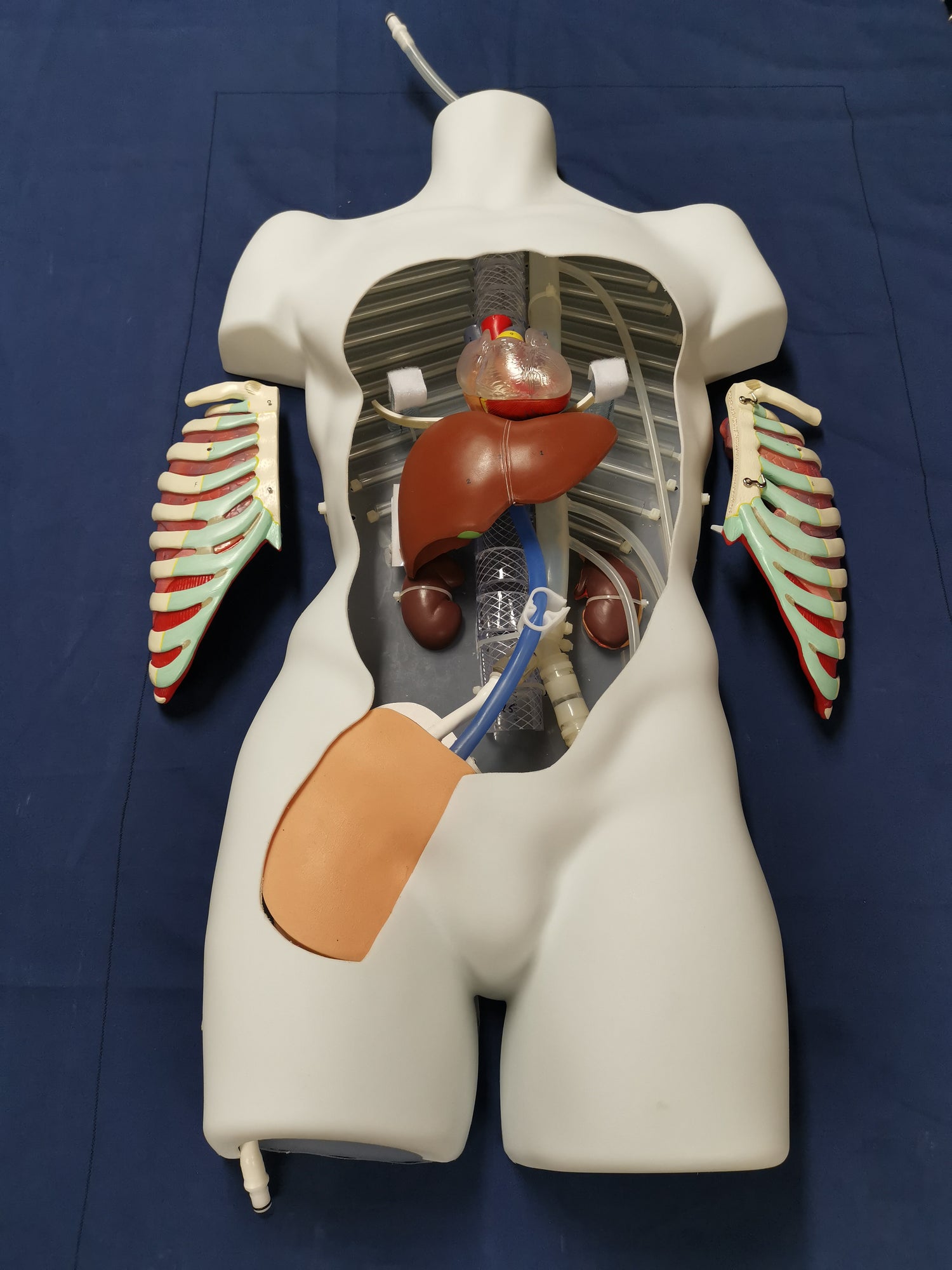 VasSim PerfsionSim, PFS