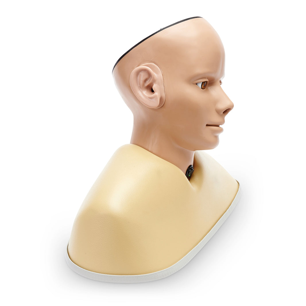 Digital Ear Examination Trainer - Light, SB52823