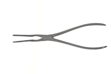 Asch Septum Forceps 9" (23.0 cm), 443610