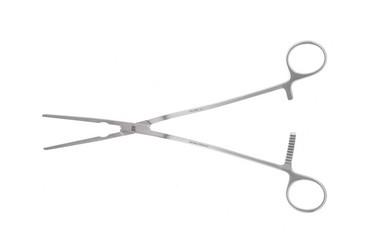 Cooley Iliac Clamps 9 7/8" (25.0 cm), 356028