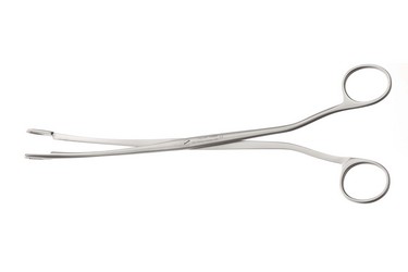 Desjardin Gallstone Grasping Forceps 9 1/4" (23.5 cm), 172625