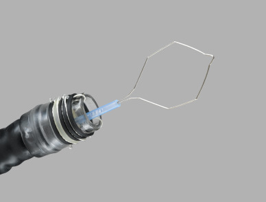 Cook Medical DT-6-5F