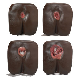 Nasco Company LF00945