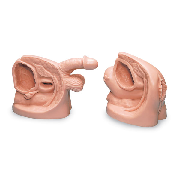 Nasco Company LF01152