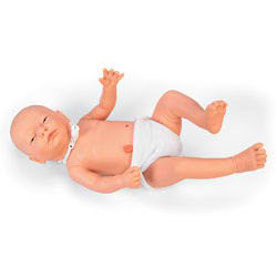 Nasco Company LF01194