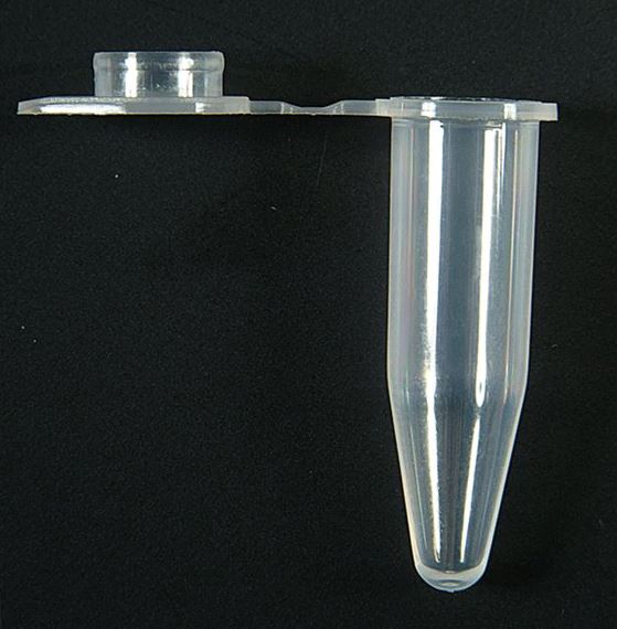 Axygen™ PCR Tubes with 0.5 mL Flat Cap