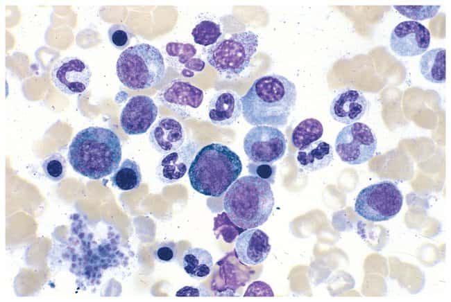 Epredia™ Shandon™ Kwik-Diff™ Stains