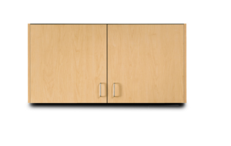 Wall Cabinet with 2 Doors