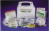 Ever Ready All Purpose First Aid Kit