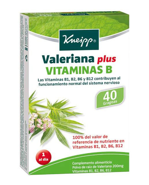 Valeriana vitamina b kneipp