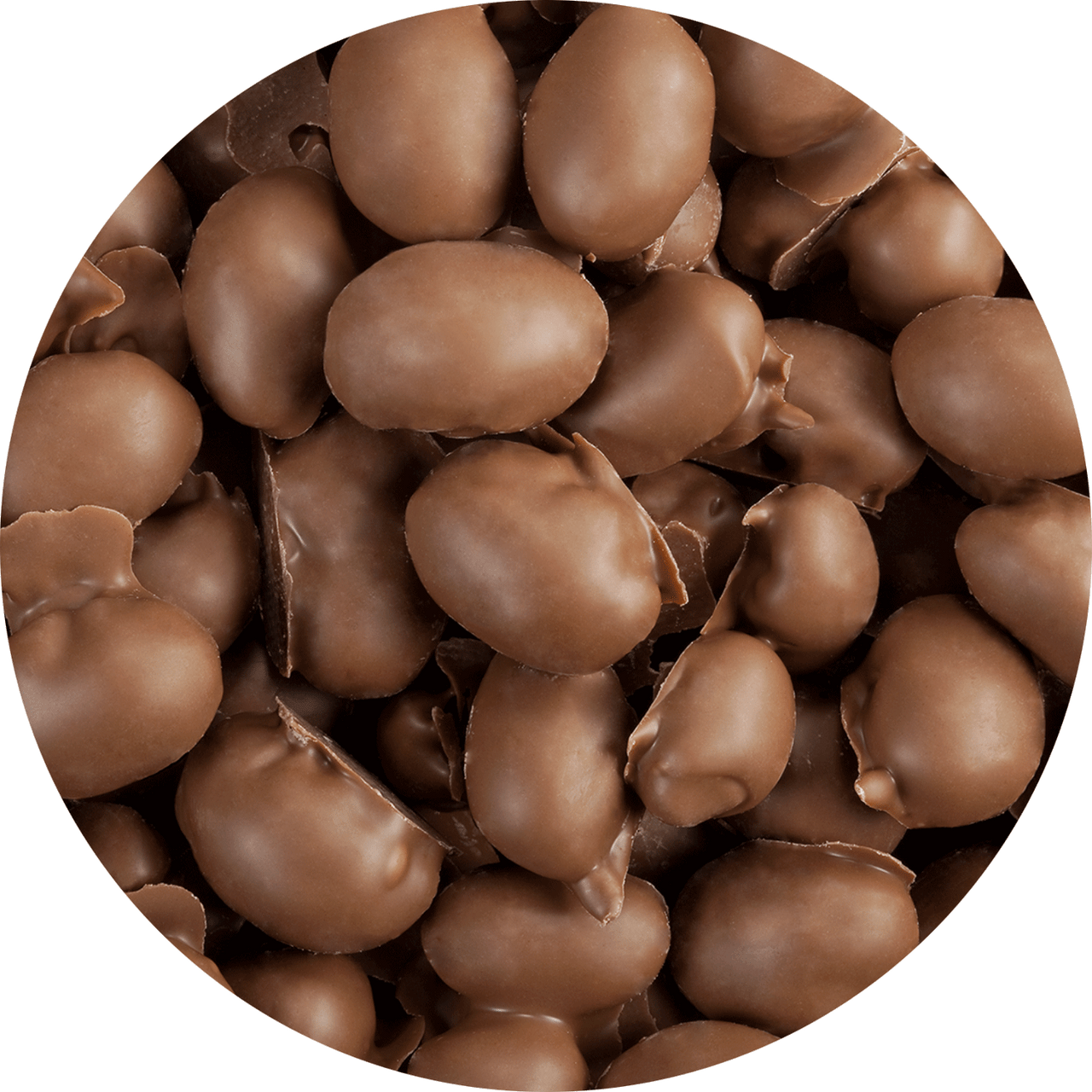 Candy Coated Chocolate Peanuts