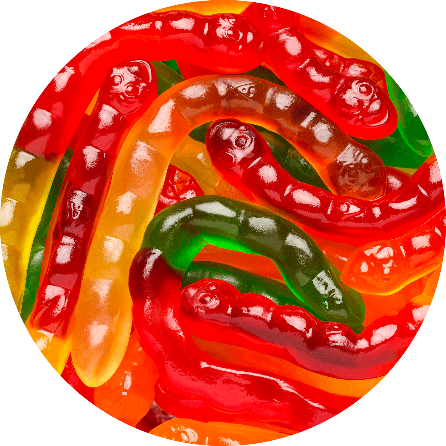 Large Assorted Wild Fruit Gummi Worms Albanese Candy