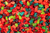 Berry Flavored Gummi Bears -1 oz Fun Size Bags - 1 Case (200 Bags)