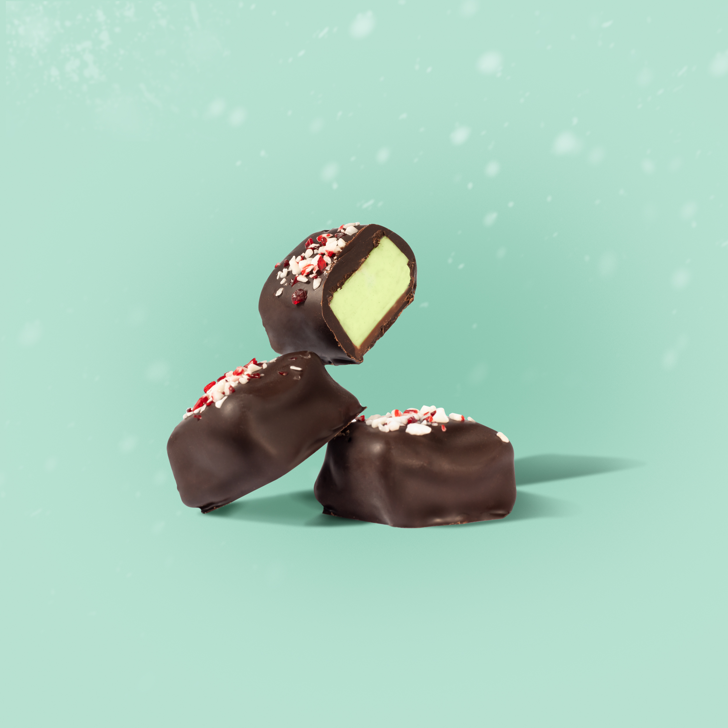 Dark Chocolate Holiday Mint Square
