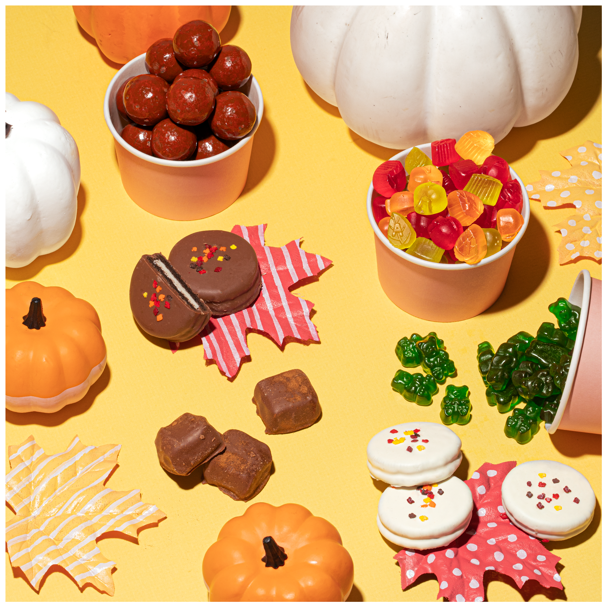 Fall Favorites | Albanese Fall & Halloween Candy