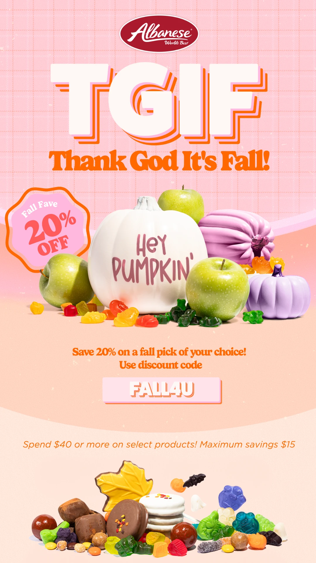 TGIF - Thank God It's Fall Flash Sale