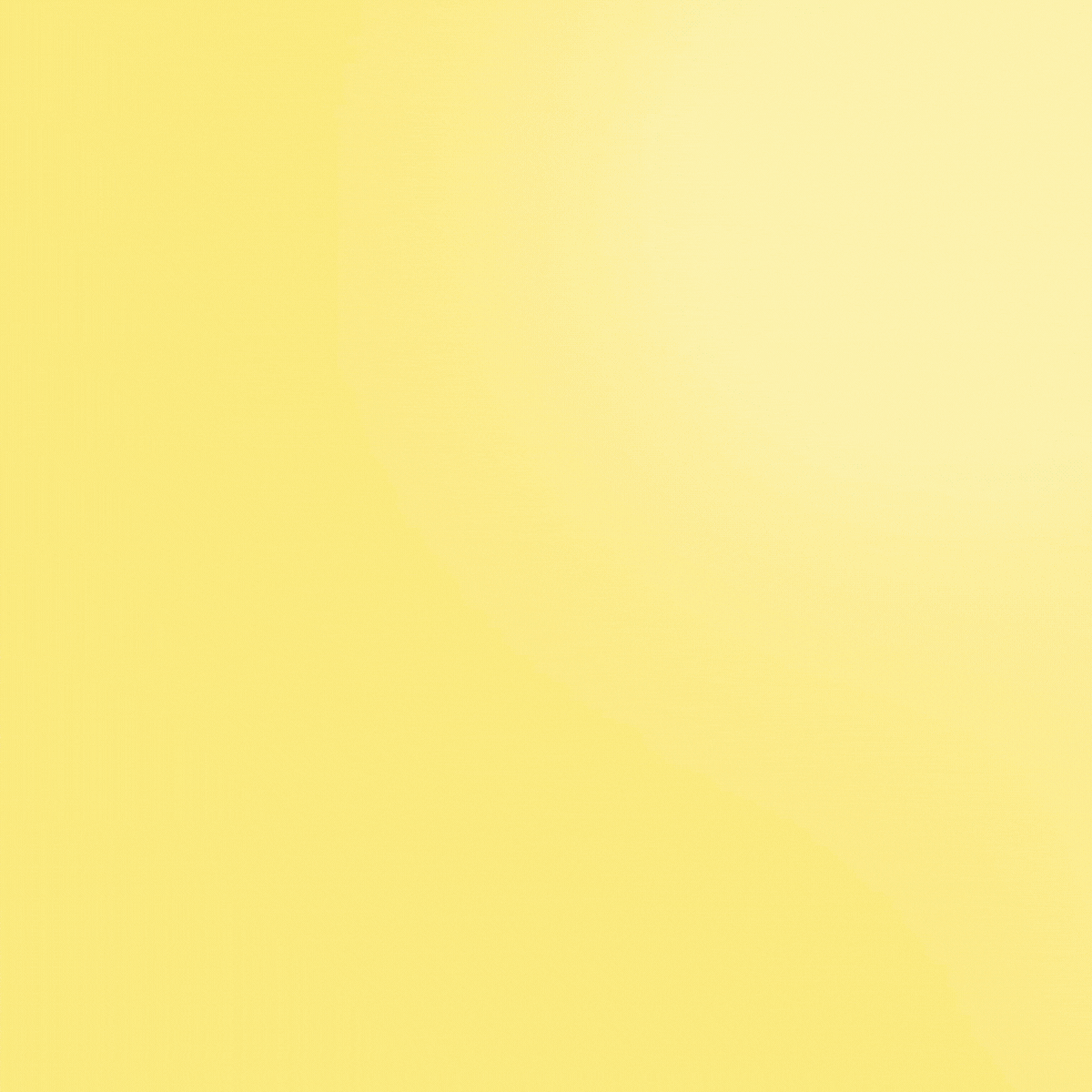 Shop Spring Favorites!