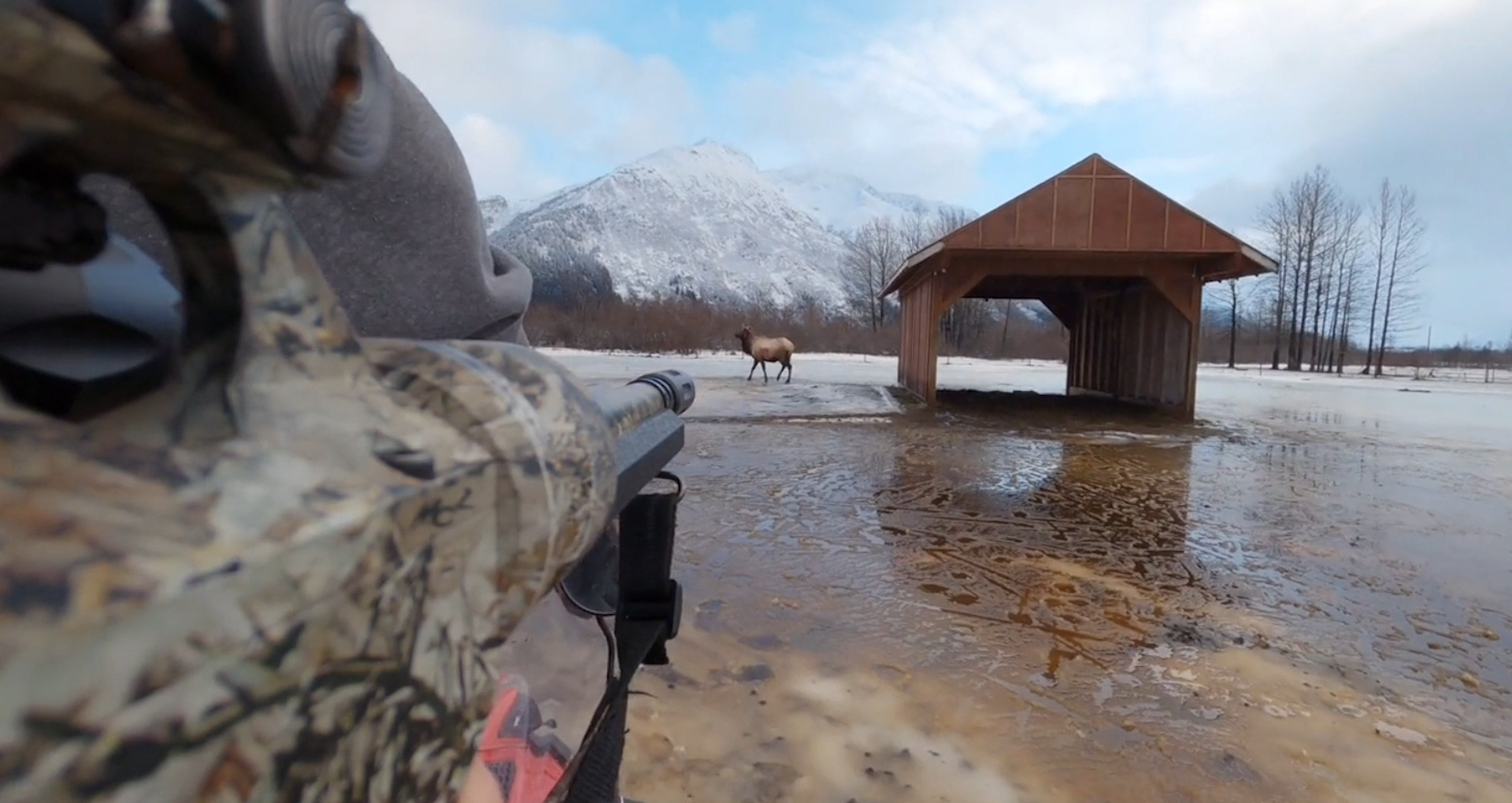 Deer & Elk Packages