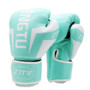 White on Blue Premium ZTTY Boxing Gloves