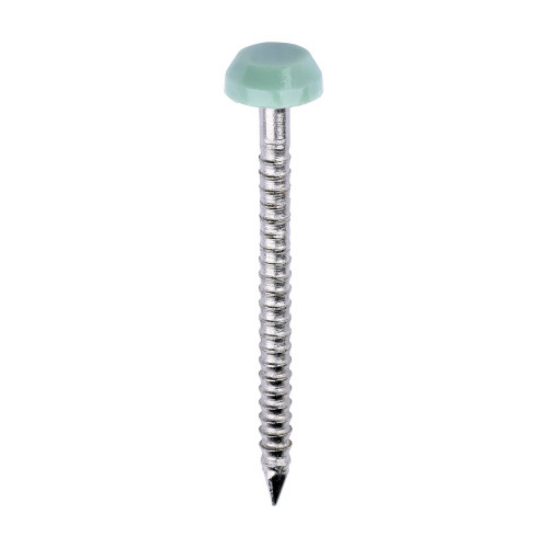 Polymer Headed Pin C GREEN [30mm] - [Box] 250 Pieces