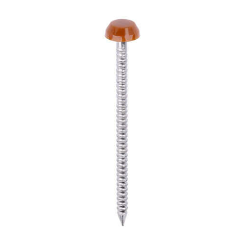 Polymer Headed Pin C BROWN [40mm] - [Box] 250 Pieces