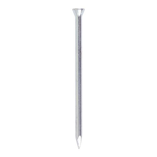 Masonry Nail [2.5 x 25] - [TIMpac] 50 Pieces