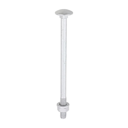 Carriage Bolt Exterior - SO [M6 x 100] - [TIMbag] 10 Pieces