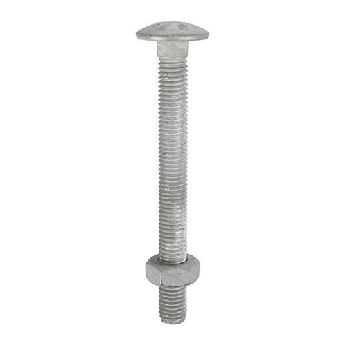 Carriage Bolt & Hex Nut - HDG [M12 x 150] - [Box] 10 Pieces