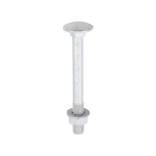 Carriage Bolt Exterior - SO [M8 x 75] - [TIMbag] 10 Pieces