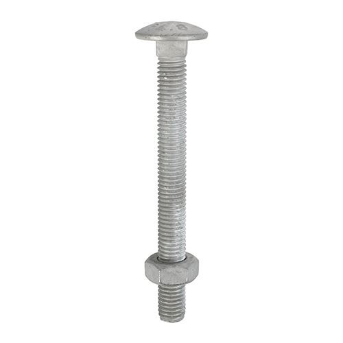 Carriage Bolt & Hex Nut - HDG [M12 x 180] - [Box] 10 Pieces