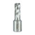 Broaching Cutter HSS M2 Short [13 x 30] - [Tube] 1 Each