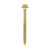 Advanced Coach Screw ZYP [6.0 x 80] - [TIMbag] 80 Pieces
