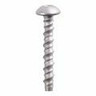 Concrete Bolts & Screws