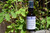 Colloidal Silver Spray