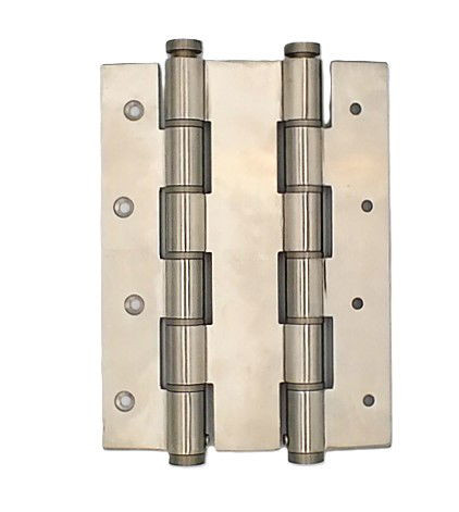 Stainless Steel 180mm Double Action Spring Hinge