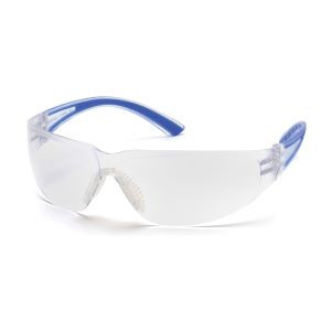 Navy Temples/Clear Lens
