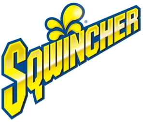 Grape Sqwincher Zero Qwik Stik Sugar-Free Powder 0.11oz Packet (20oz Yield)