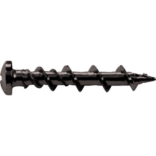 WALL DOG BLACK PH BOX - Pack of 100