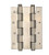 Stainless Steel 180mm Double Action Spring Hinge