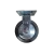 Caster