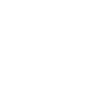 FAST SHIPPING