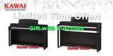 Special Offer on CN29 and CN39 for a limited time!