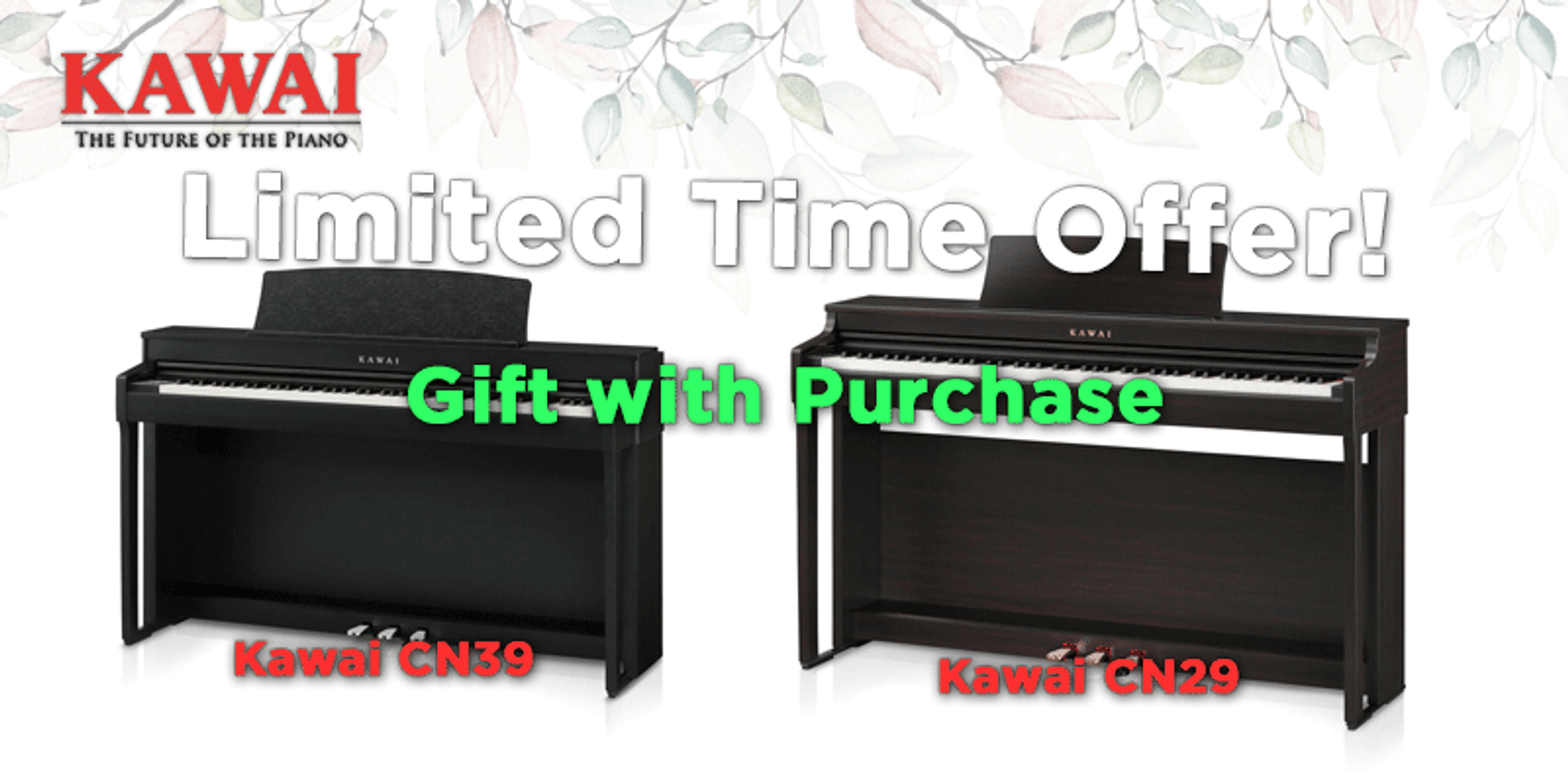 Special Offer on CN29 and CN39 for a limited time!